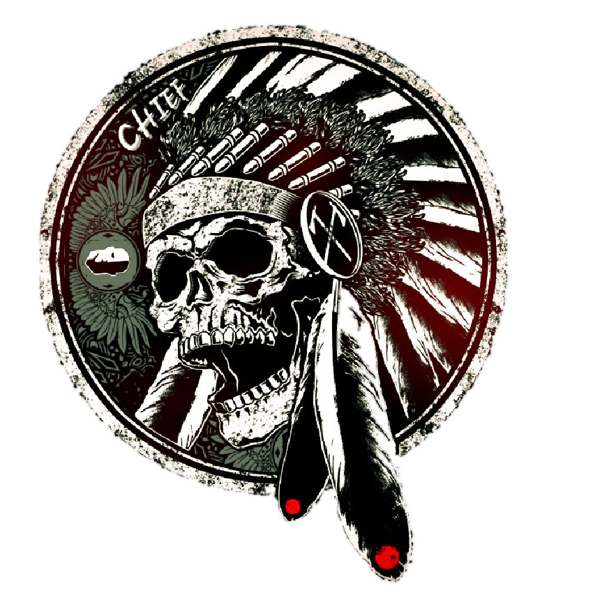 CHIEF - TEAM LEADER